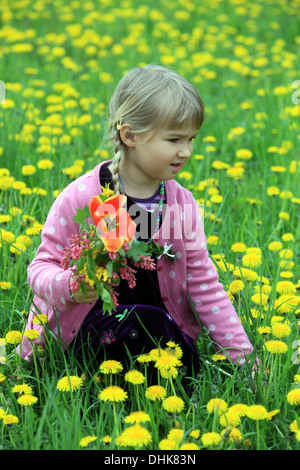 Petite fille sur le terrain de pissenlit Banque D'Images