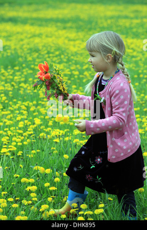 Une petite fille sur le champ de pissenlits, République Tchèque, Europe Banque D'Images