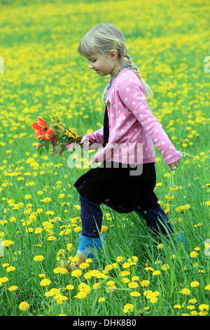 Une petite fille sur le champ de pissenlits, République Tchèque, Europe Banque D'Images