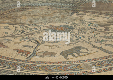 Fragment de mosaïque romaine d'animaux sauvages dans la chambre d'Orphée 300 Annonce à Volubilis Banque D'Images