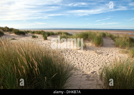 Des empreintes de pas dans les dunes de Holkham Banque D'Images