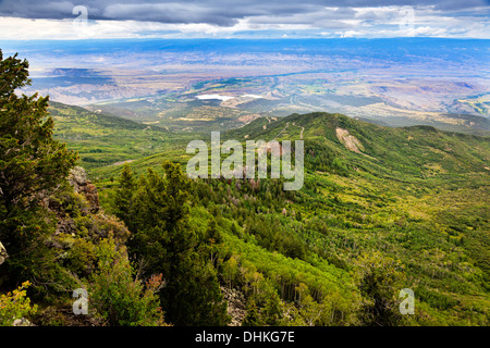 Vue ouest du Land's End Observatoire sur Grand Mesa National Forest vers Dominguez Canyon Wilderness Area, Colorado, USA Banque D'Images