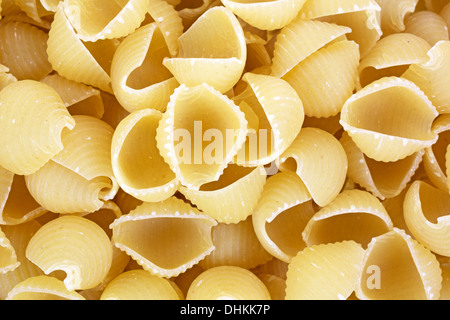 Un très gros plan de petites coquilles de pâtes non cuites sur un fond blanc. Banque D'Images