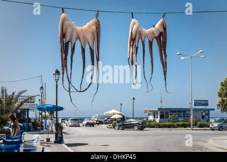 Des étrangers envahissent le front de mer de Mastichari à Kos, îles Dodécanèse, Grèce. En fait, deux calmars pendent pour sécher ! Banque D'Images