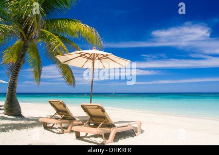 Charis sous les parasols de plage encadrée par de palmier. Roatan, Honduras Banque D'Images