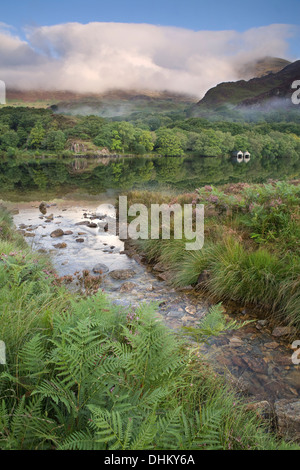 Un ruisseau coule dans Llyn Dinas Snowdonia. Yr Aran est illuminé par le soleil du matin et est partiellement masquée par les nuages. Banque D'Images