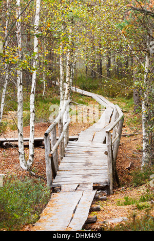 Pont en bois au milieu de la promenade en forêt à l'automne Banque D'Images