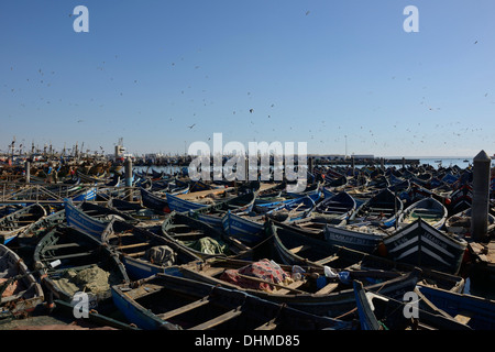 Maroc, Agadir, bateaux de pêche au port Banque D'Images