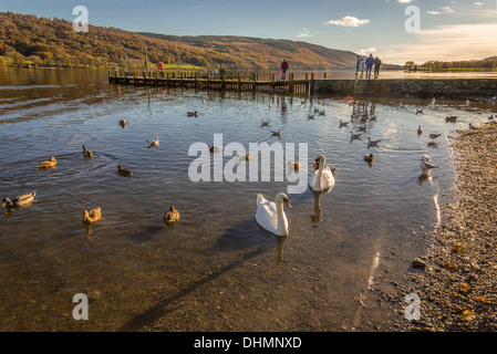 Coniston Water dans le Lake district de Cumbria. L'eau de l'étang un calme plat. Banque D'Images