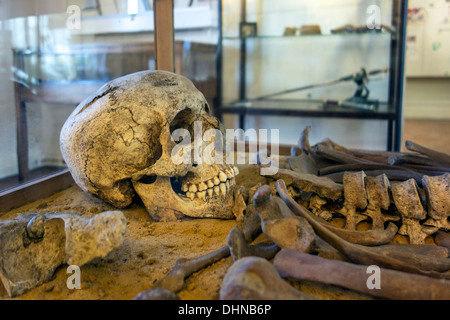 Squelette d'un soldat français de Hussard de Napoléon au Siège de l'AC dernier musée sur la bataille de Waterloo, Vieux-Genappe, Belgique Banque D'Images