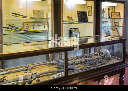 Squelette d'un soldat français de Hussard de Napoléon au Siège de l'AC dernier musée sur la bataille de Waterloo, Vieux-Genappe, Belgique Banque D'Images