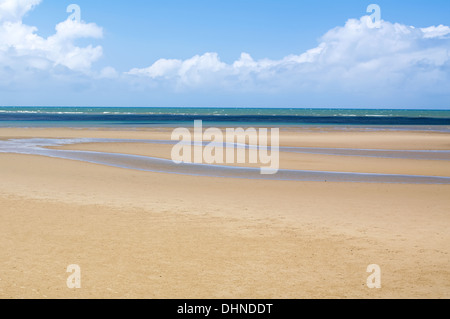 La marée basse à la plage de sable dans le Queensland Banque D'Images