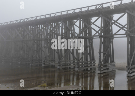 Le Pudding Creek Trestle, partie des 10 Mile Beach Trail près de Fort Bragg, dans le brouillard, MacKerricher State Park, Californie, USA Banque D'Images