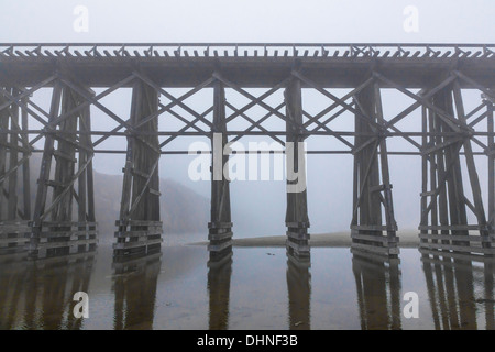 Le Pudding Creek Trestle, partie des 10 Mile Beach Trail près de Fort Bragg, dans le brouillard, MacKerricher State Park, Californie, USA Banque D'Images