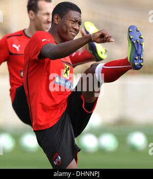 Alicante, Espagne. 13 nov., 2013. Le football international avant-match amical pratique avant l'Autriche contre USA match amical David Alaba AUT © Plus Sport Action/Alamy Live News Banque D'Images