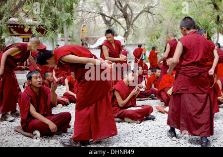 Les jeunes moines bouddhistes tibétains du débat dans la cour à monastère de Séra Lhassa, Tibet, Chine, Asie Banque D'Images