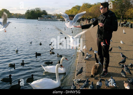 Jeune homme nourrir les oiseaux à côté de la Serpentine dans Hyde Park. London, UK . Banque D'Images