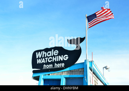 Signe de l'observation des baleines sur le dessus de la billetterie de l'immeuble avec un drapeau américain à Provincetown, Cape Cod, Massachusetts, USA Banque D'Images