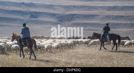 Les bergers avec leurs moutons près de David Gareja à Kakheti, Géorgie Banque D'Images