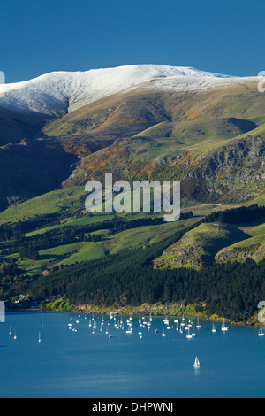 Lyttelton Harbour, yachts amarrés par Diamond Harbor township, et la neige sur la péninsule de Banks, Christchurch, Canterbury, Nouvelle-Zélande Banque D'Images