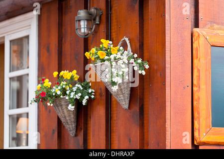 Fleurs en pots en osier sur un mur de la maison en bois islandais Banque D'Images