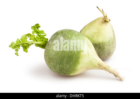 Deux radis vert isolated on white Banque D'Images