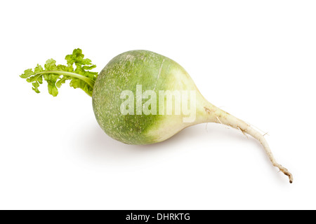 Le radis vert un isolated on white Banque D'Images