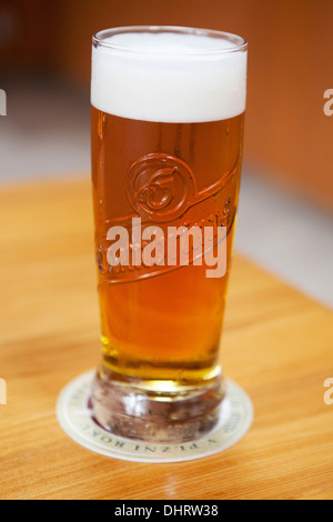 Verre de bière tchèque fraîchement coulé Gambrinus Banque D'Images