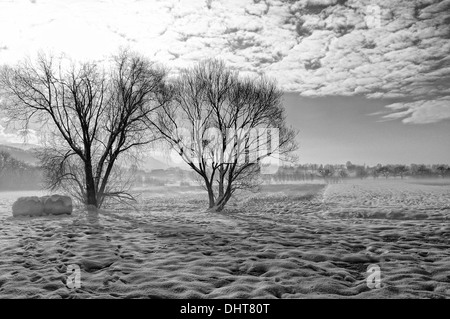 Froid en hiver noir et blanc Banque D'Images