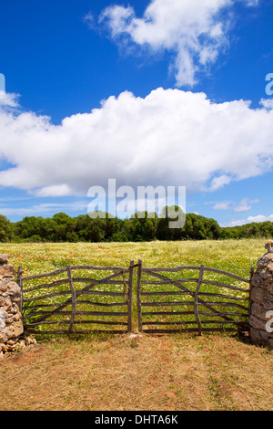 Porte en bois traditionnelle de Minorque dans les Baléares au printemps de l'Espagne Banque D'Images