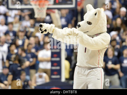 Storrs, CT, USA. 14Th Nov, 2013. Jeudi 14 Novembre 2013 : Le husky UConn mascot Jonathan effectue dans un délai d'attente lors de la 2e moitié du jeu de basket-ball de NCAA entre Detroit et Indiana à Gampel Pavilion dans Storrs, CT. UConn a battu très facilement Detroit 101-55. Bill Shettle / Cal Sport Media. Credit : csm/Alamy Live News Banque D'Images