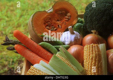 Fruits et légumes et autres denrées alimentaires Banque D'Images
