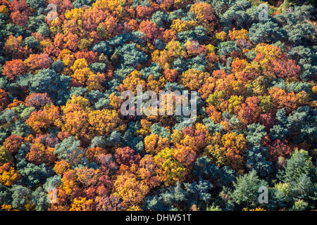 Pays-bas, Loosdrecht, arbres. Couleurs d'automne. Aerial Banque D'Images