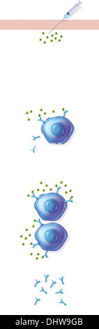 ILLUSTRATION DU VACCIN Banque D'Images