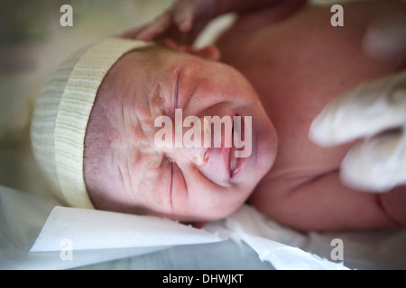 BÉBÉ NOUVEAU-NÉ Banque D'Images
