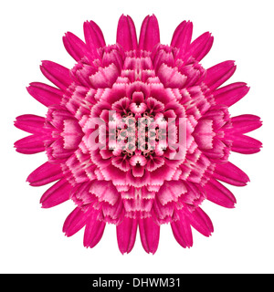 Purple Flower Mandala kaléidoscopique isolé sur fond blanc Banque D'Images
