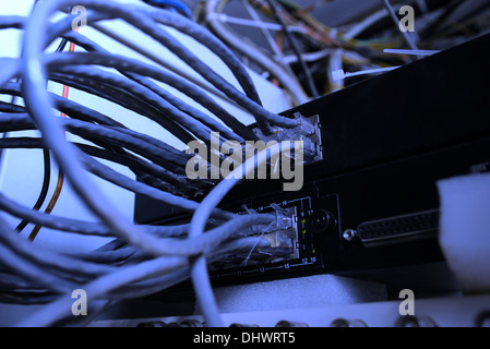 Câbles réseau connectés à des commutateurs, faible profondeur de champ Macro Banque D'Images