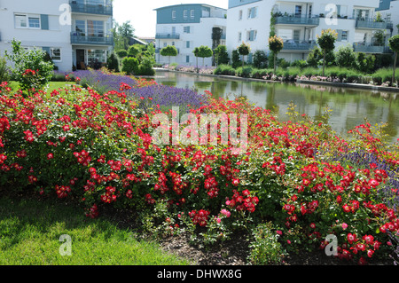 La couverture du sol a augmenté Banque D'Images