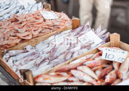 Boîte de poisson frais du marché contenant des fruits de mer Poissons 'mullet crevettes calmars Banque D'Images
