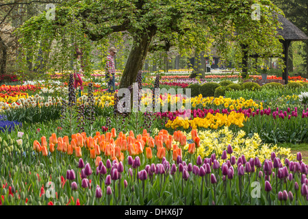 Pays-bas, lisse, jardins de Keukenhof. Couple fleurs Banque D'Images