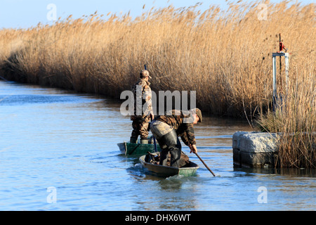 La chasse sur l'étang du Scamandre à Gallician, petite Camargue, Languedoc Roussillon, France Banque D'Images