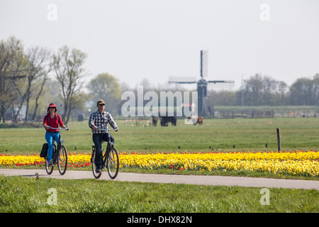 Noordwijk, Pays-Bas, champs de tulipes en face de chevaux et moulin à vent. Couple à vélo Banque D'Images