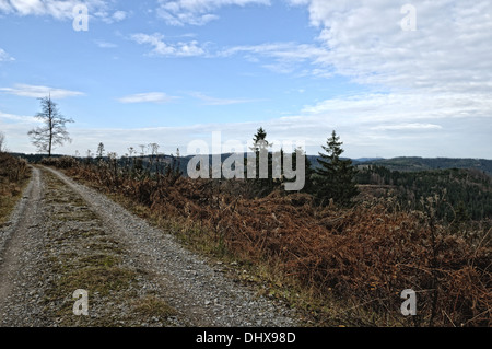 Hornisgrinde Forêt Noire Allemagne Banque D'Images