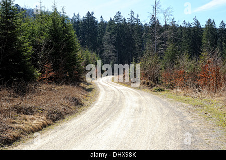 Route forestière poussiéreux Banque D'Images