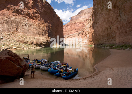 Grand Canyon, Arizona, USA Banque D'Images