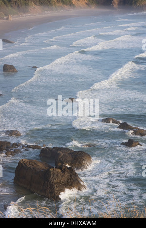 Les livres de surf la plage Crescent, le long de la côte de l'Oregon, vues du parc d'état d'Ecola, Oregon. Banque D'Images