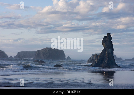 Les piles de la mer le long de la plage de Bandon Bandon Beach State Natural Area, Oregon. Banque D'Images