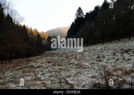 Frosty vallée dans la Forêt Noire Allemagne Banque D'Images