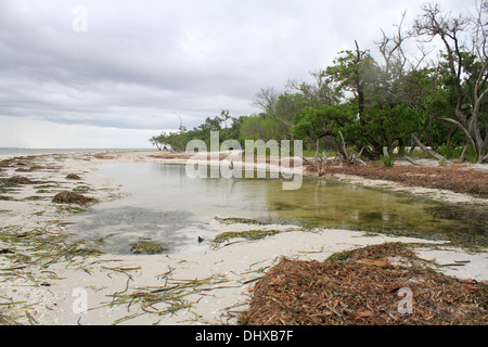 Fort Myers Beach, Florida, USA Banque D'Images