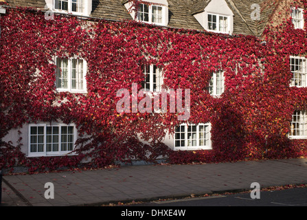 Vendredi 15 novembre 2013, Oxford Oxfordshire, UK. Bâtiment couvert de feuilles d'automne rouge cramoisi. Banque D'Images